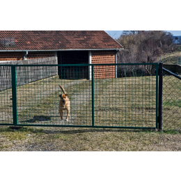 Jakie to są psy podwórkowe i domowo-podwórkowe?