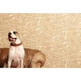 Co znaczy, gdy pies saneczkuje?