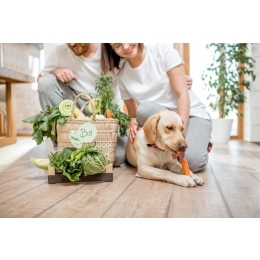 Czy pies może być wegetarianinem?