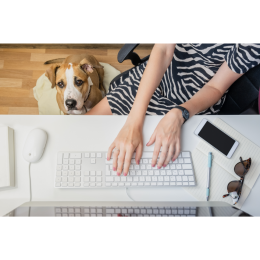 Wzrasta podatek od psa - przygotuj się na większe opłaty od kolejnego roku