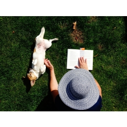 Jak uspokoić psa i pomóc mu z nadpobudliwością?