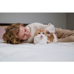 Co oznacza sen o kotach? Przedstawiamy najczęstsze znaczenie kota w senniku