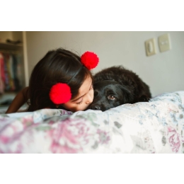 Pies we śnie? Sprawdź znaczenie psa w senniku!