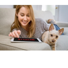 Sławne psy - czy znasz je wszystkie?