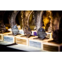 Fera.pl najlepszym sklepem internetowym w plebiscycie TOP FOR DOG 2017!