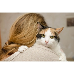 Ailurofobia, czyli lęk przed kotami. Czym się objawia fobia przed kotami i czy można ją wyleczyć?