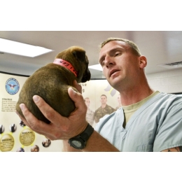 Testy na koronawirusa dla zwierząt - czy możesz przetestować na covid swojego psa i kota?