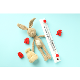 Jak rozpoznać przegrzanie u królika? Nie dopuść do udaru słonecznego!