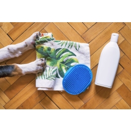 Czym są roztocza kurzu domowego i jak sobie radzić z uczuleniem na kurz posiadając zwierzęta?