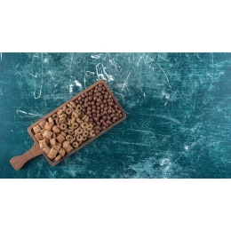 Zalety suchej karmy dla psa