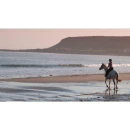 Jazda konna – czy jest dla Ciebie? Style jazdy konnej i obozy konne