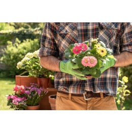 Prace w ogrodzie, jakie warto wykonać z początkiem wiosny?