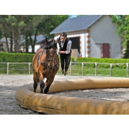 Woltyżerka - sport dla miłośników koni