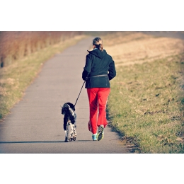 Bieganie z psem – jak zacząć, aby przygotować czworonoga do dłuższych dystansów?