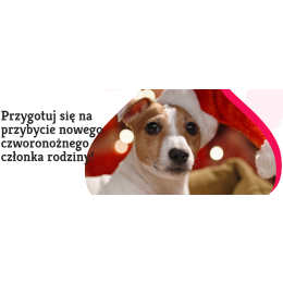 Jak być rewelacyjnym opiekunem psa? Najnowsza książka z poradami m.in. Michała Dąbrowskiego