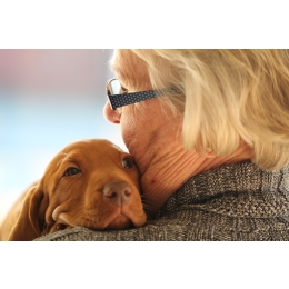 Przytulanie zwierząt - czy to lek na całe zło?