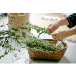 Jakie przyprawy i zioła dla psa? Czy wszystkie są dla niego bezpieczne?