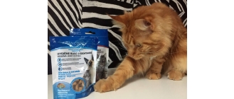 Testuje dla nas Apolonia Mainecoon - recenzja przysmaków FRANCODEX