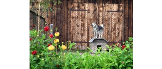 Nie kupuj, adoptuj – adopcja psa w praktyce. Jak wygląda adopcja psa ze schroniska?