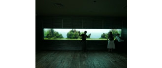 Akwarium ścienne, czy możesz mieć takie w domu?