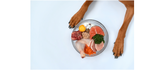 Dieta BARF dla psa - przewodnik i porady