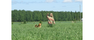 Czy istnieją bezproblemowe psy idealne dla początkujących?