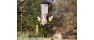 Kiedy i czym karmić ptaki? Czy ptaki zimujące naprawdę potrzebują naszej pomocy?