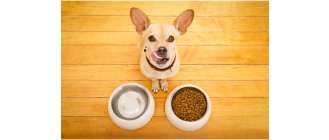 Czas na ekologiczną modyfikację codziennych nawyków z Brit Care Sustainable!