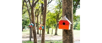 Budka lęgowa dla ptaków
