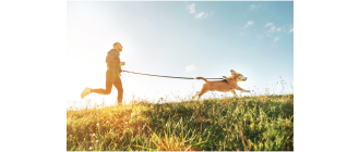 Canicross, czyli zaawansowane bieganie z psem