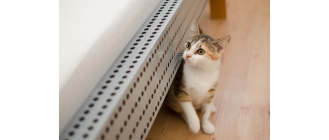 Jak podać kotu tabletkę? 3 skuteczne sposoby