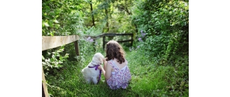 Psy dla dzieci – jaką rasę wybrać? Czym powinien charakteryzować się pies dla dziecka?