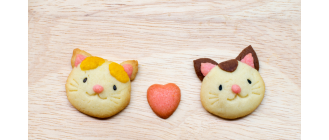 Przepisy na ciasteczka dla kota - TOP 3