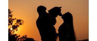 Do kogo trafi zwierzę po rozwodzie?