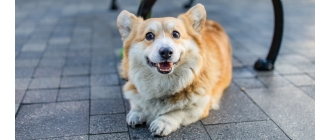 Źródło: Freepik