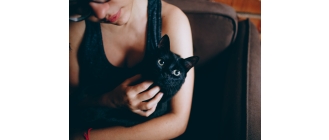 Czy czarne koty naprawdę przynoszą pecha? Znane rasy czarnych kotów i powody ich wybierania