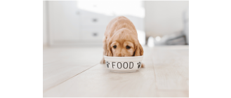 Obliczanie dawki pokarmowej dla psa i kota