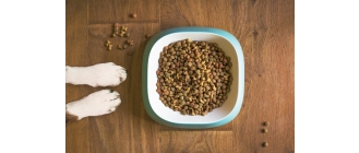 Odpowiednie dawkowanie karmy dla psa, czyli sposoby na utrzymanie prawidłowej wagi