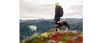 Dogtrekking – czym są wędrówki z psem i jak je rozpocząć?