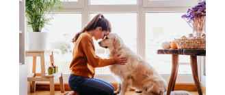 Dom tymczasowy dla psa - co to, jak zostać? Przewodnik