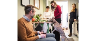 Domowe jedzenie dla psa – dozwolone czy zakazane?