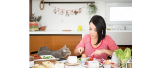 Domowe jedzenie dla kota – czy to dobry pomysł?