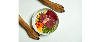 Jaki rodzaj dziczyzny jest najlepszy dla psa? Jakie właściwości ma dziczyzna?