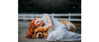 Pies i dziecko – co zrobić, gdy w domu pojawia się niemowlę?