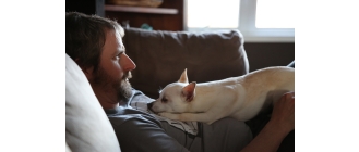 Dlaczego szczeniak wymiotuje? Jak mu pomóc?