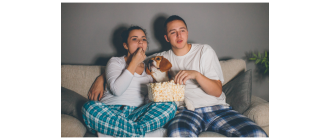 TOP filmy o psach! Czy znasz je wszystkie?