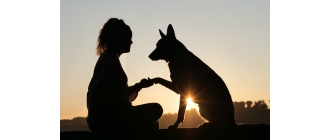 Jak zdobyć zaufanie psa?