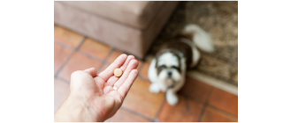 Gabapentyna - przełomowy lek w weterynarii?