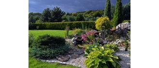 Jak zrobić oczko wodne? Cenne wskazówki przy planowaniu ogrodowej sadzawki