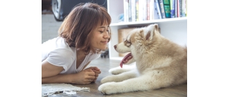 Zabawy z psem w domu. Pomysły na wspólne spędzanie czasu z psem
